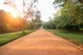 the brown clay road among the jungle, the green trees along the edges of the ro Royalty Free Stock Photo