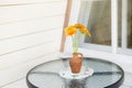 Brown clay vase with common marigold flowers on garden table on home balcony. Royalty Free Stock Photo