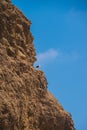 Brown cliff rock formation with ledge with seagull standing on ledge. Blue clear sky in background Royalty Free Stock Photo