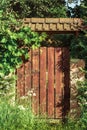 Brown closed wooden gates and a fence overgrown with greens Royalty Free Stock Photo