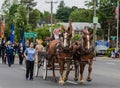 Brown Clydesdale horses pull wagon at parade in USA