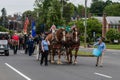 Brown Clydesdale horses pull wagon at parade in USA