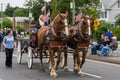 Brown Clydesdale horses pull wagon at parade in USA