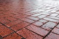 Brown cobble stone walkway get wet cause of rain. Pavement texture. Royalty Free Stock Photo