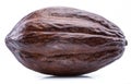 Brown cocoa pod isolated on a white background Royalty Free Stock Photo