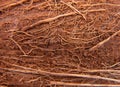 Brown coconut peel macro background