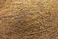 Brown coconut shell texture