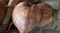 Brown coconuts are stacked together, Dried coconut