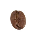 Brown coffee bean close-up isolated on white background Royalty Free Stock Photo