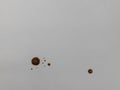 Brown coffee drops on light grey table top