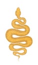 Brown coiled snake detailed illustration