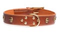 Brown collar with rivets