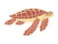 brown color hawksbill turtle wild nature ocean animal dive slow swimming underwater with shell