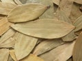 Brown color dry Bay leaves Royalty Free Stock Photo
