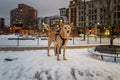 Brown colored dog in a snow covered dog park standing attention