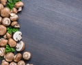 Brown colored edible mushrooms or cremini mushrooms on black table with herbs. Top view