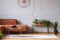 Brown comfortable corner sofa in elegant living room Royalty Free Stock Photo