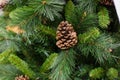 Brown cone on artificial Christmas tree, close-up Royalty Free Stock Photo