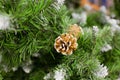 Brown cone on artificial Christmas tree, close-up Royalty Free Stock Photo