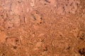 Brown cork board background texture Royalty Free Stock Photo