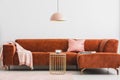 Brown corner sofa and tasteful accessories