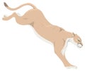 brown cougar jump animal vector illustration transparent background