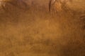 Brown cow leather background texture, natural fabric concept Royalty Free Stock Photo