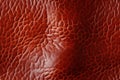 brown cow leather texture with seamless pattern. Natural genuine animal skin background Royalty Free Stock Photo
