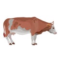 Brown cow in natural style, isolated object on a white background, vector illustration Royalty Free Stock Photo