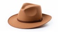 Brown Cowboy Fedora With Leather Band - Anne Truitt Style Royalty Free Stock Photo