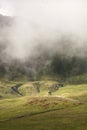 Brown cows grazing in beautiful mountain landscape Royalty Free Stock Photo