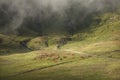 Brown cows grazing in beautiful mountain landscape Royalty Free Stock Photo