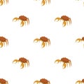 Brown crab pattern seamless vector