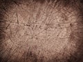 Brown cracked cross section of tree trunk and Royalty Free Stock Photo