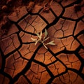 Brown cracked desert soil surface abstract background. Royalty Free Stock Photo