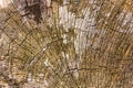 Brown cracked old wooden texture Royalty Free Stock Photo