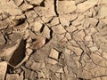 Brown cracked soil ground surface and dried leaves, drought concept Royalty Free Stock Photo