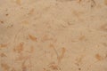 Brown craft paper texture background from made natural leaves. Royalty Free Stock Photo