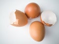 Brown and cream colored egg shells Royalty Free Stock Photo