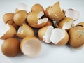 Brown and cream colored egg shells Royalty Free Stock Photo
