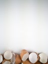 Brown and cream colored egg shells Royalty Free Stock Photo