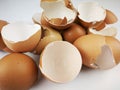 Brown and cream colored egg shells Royalty Free Stock Photo