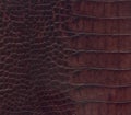Brown crocodile leather texture