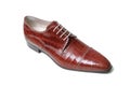 Brown crocodile's leather shoe