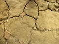 Brown cropped cracked ground or  soil. Cracks on the surface of the earth. Royalty Free Stock Photo
