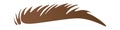 Brown curved shape of eyebrow flat icon