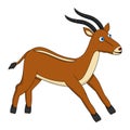 Brown Cute Antelope running Royalty Free Stock Photo