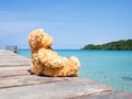 Brown cute bear doll sitting alone on wooden pier looking at sea view. Concept of loneliness