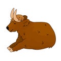 Brown cute cartoon highland Scottish cow is lying on the ground, eyes are closed, animal is sleeping. Bull is isolated on white Royalty Free Stock Photo