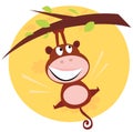 Brown cute monkey hanging from tree